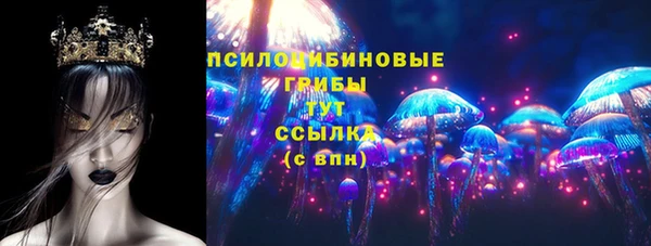 ГАЛЛЮЦИНОГЕННЫЕ ГРИБЫ Алзамай
