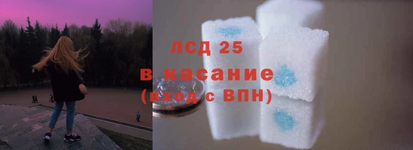 ГАЛЛЮЦИНОГЕННЫЕ ГРИБЫ Алзамай